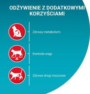 PURINA NESTLE PURINA ONE Sterilcat Wołowina 9,75kg 10