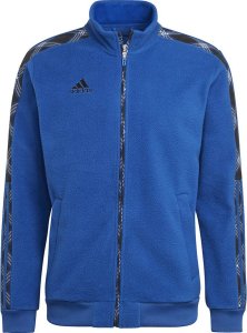 Adidas Polar męski adidias Tiro Winterized Track niebieski HN5502 S 1