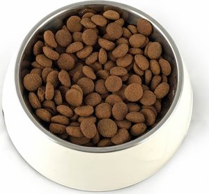 Pupil Premium Karma sucha dla psa PUPIL Premium Gluten Free M&L bogata w gęś z ryżem i aronią 3 kg 1