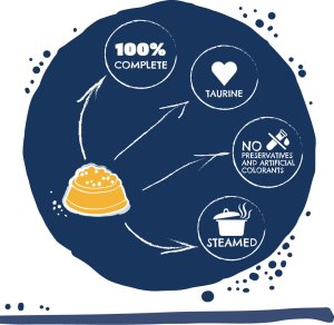 Teo Karma mokra dla kota TEO 24 x 850 g MIX 6