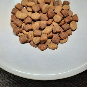 PUPIL Prime Karma sucha dla psa bogata w drób z wołowiną 10 kg 5