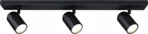 Lampa sufitowa Paulmann Oprawa ścienno sufitowa ZYLI GU10 max. 3x10W IP44 230V czarny metal / metal 1