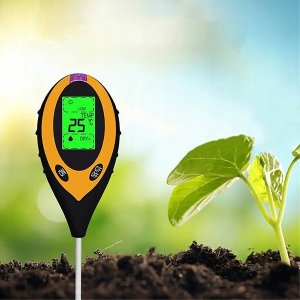 . KWASOMIERZ GLEBOWY 2