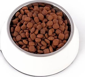 Pupil Premium Karma sucha dla kota PUPIL Premium bogata w kaczkę 1,6 kg 1