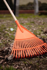 Neo Grabie do liści duże, tworzywo sztuczne (TOP-95-041) 8