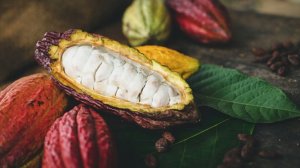 Kiwi Garden Czekolada do picia Kiwi Garden 200g 4