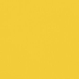 vidaXL Przyczepka rowerowa, czarno-żółta, 30 kg, żelazo 12