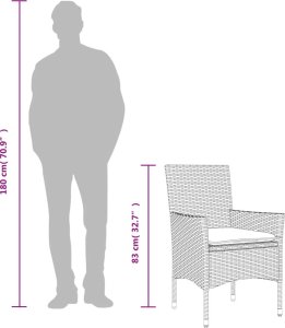 vidaXL 9-cz. zestaw mebli ogrodowych z poduszkami, czarny, polirattan 10