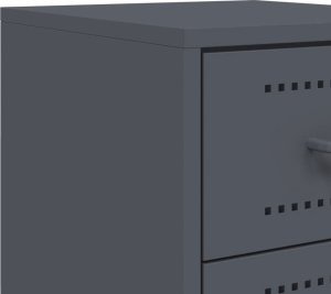 vidaXL Szafki nocne, 2 szt., antracytowe, 36x39x60,5 cm, stal 10