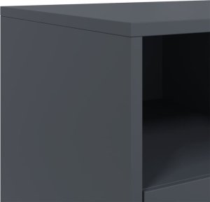 vidaXL Szafka pod telewizor, antracytowa, 68x39x60,5 cm, stalowa 10
