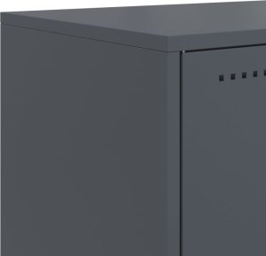 vidaXL Szafka RTV, antracytowa, 100,5x39x43,5 cm, stal 10