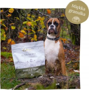 EDEN  Eden Półwilgotna Kaczka i Żołądki 10 kg 10