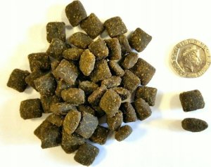 EDEN  Eden Półwilgotna Łosoś i Przepiórka 10 kg 4