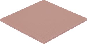 Thermal Grizzly Thermal Grizzly Minus Pad 8 - 100 x 100 x 3,0 mm 2