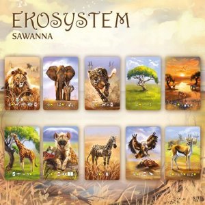 Nasza Księgarnia GRA EKOSYSTEM* 3: SAWANNA- NASZA KASIĘGARNIA 4