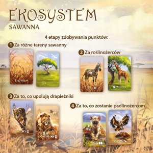 Nasza Księgarnia GRA EKOSYSTEM* 3: SAWANNA- NASZA KASIĘGARNIA 5