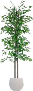 Home ESPRIT Drzewo Home ESPRIT Poliester Drewno 80 x 80 x 180 cm 1
