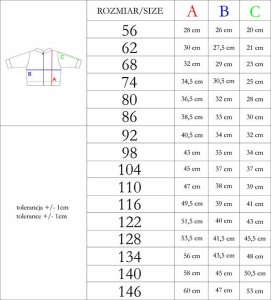 NICOL Bluza dresowa rozpinana dziecięca dla chłopca niebieska Nicol Teddy 128 3