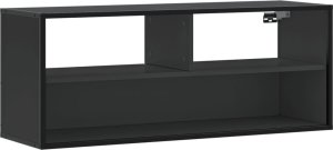 vidaXL Szafka pod TV, czarna, 100x31x39,5 cm 2