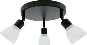 Lampa sufitowa Darymex Costa plafon 3x40W E14 czarny klosz biały 98-29607 1