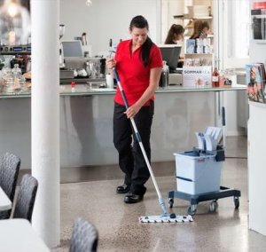 Vileda Zestaw UltraSpeed Pro Single Bucket System 25l 5