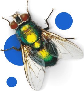 Bros Spray na komary i kleszcze 50% DEET 90ml 5