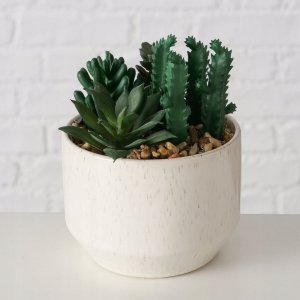Boltze Sztuczna roślinka SUCCULENT, 12 cm 2