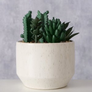 Boltze Sztuczna roślinka SUCCULENT, 12 cm 3