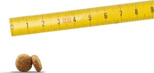 Josera Mini Salmon&Chicken 10kg 3