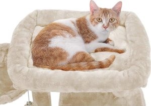 Rhinowares Rhino Coffee Gear - Szczotka do czyszczenia grupy 6