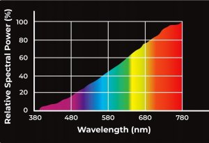 Aqua Nova AQUA NOVA ŻARÓWKA GRZEWCZA UVA REPTILE    DAYLIGHT 25W 4