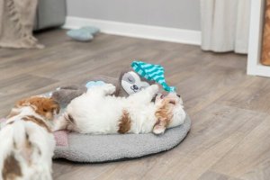 Trixie TRIXIE 36166, Dog, Plush toy, Multicolour, Plush, Battery 12