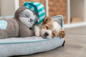 Trixie TRIXIE 36166, Dog, Plush toy, Multicolour, Plush, Battery 10