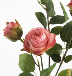 Eurofirany KWIAT NATU 429 2