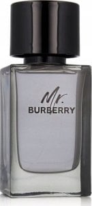 Alkotest BURBERRY Mr. Burberry EDT spray 100ml 1