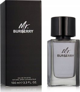 Alkotest BURBERRY Mr. Burberry EDT spray 100ml 2