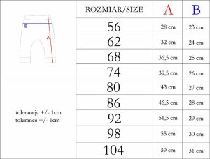 NICOL Spodnie niemowlęce bawełniane dla chłopca popielate Nicol Toys 62 2