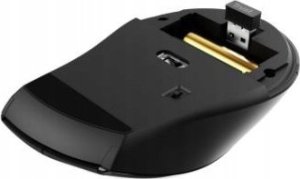 Mysz Trust Optyczna mysz su USB jungtimi bezprzewodowa SURA/COMFORTABLE 25479 TRUST 2