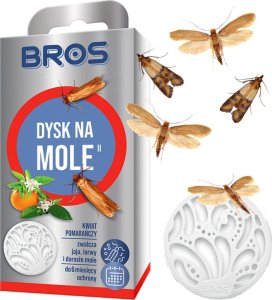 Bros BROS - dysk na mole kwiat pomarańczy - 5 szt. 2