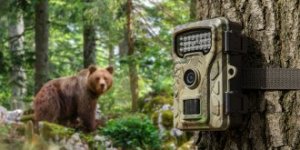 Kamera cyfrowa Redleaf Redleaf trail camera RF06 7