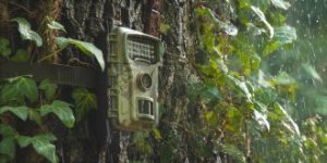 Kamera cyfrowa Redleaf Redleaf trail camera RF06 8