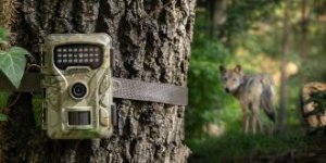 Kamera cyfrowa Redleaf Redleaf trail camera RF06 9