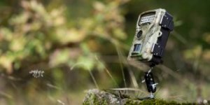 Kamera cyfrowa Redleaf Redleaf trail camera RF06 10