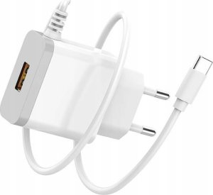 Ładowarka . DENMEN BIAŁA ŁADOWARKA SIECIOWA USB +  KABEL TYP-C DC09T-W 2