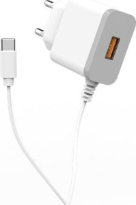 Ładowarka . DENMEN BIAŁA ŁADOWARKA SIECIOWA USB +  KABEL TYP-C DC09T-W 5