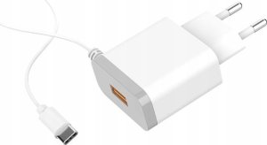 Ładowarka . DENMEN BIAŁA ŁADOWARKA SIECIOWA USB +  KABEL TYP-C DC09T-W 6