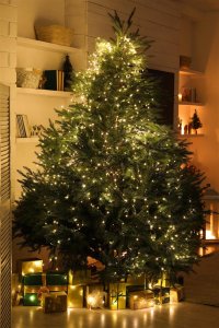 Dekoracja świąteczna Krinner Krinner X-440 Deluxe 4