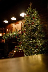 Dekoracja świąteczna Krinner Krinner X-320 Deluxe 4