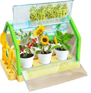 ProNice ZESTAW EDUKACYJNY EKSPERYMENT SZKLARNIA MINI OGRÓD PRAWDZIWY ROŚNIE KWIATY 2