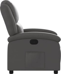 vidaXL Rozkładany fotel, szary 7